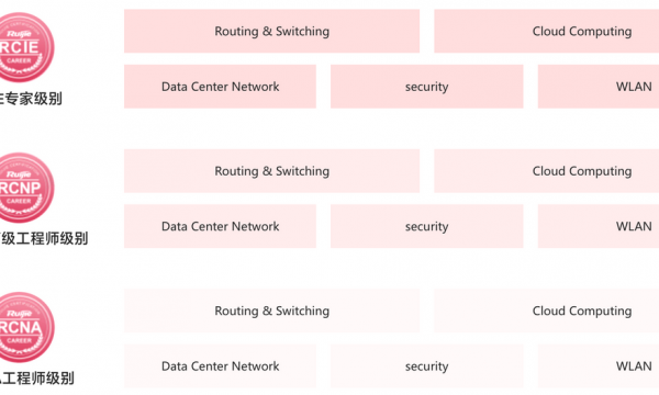 认证介绍|锐捷认证丨RCIE-Routing & Switching认证|专家级网络工程师